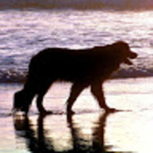 Meet your Posher, Aimee